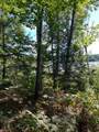 Off Booth Lake Rd - Photo 18