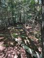 Off Booth Lake Rd - Photo 22