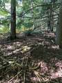 Off Booth Lake Rd - Photo 24