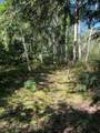 Off Booth Lake Rd - Photo 27