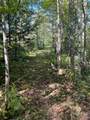 Off Booth Lake Rd - Photo 28