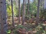 Lot 3 Sandy Ln - Photo 4