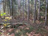 Lot 4 Sandy Ln - Photo 6