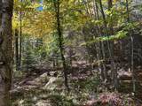 5 acres Retriever Ln - Photo 4