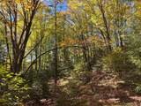 5 acres Retriever Ln - Photo 6