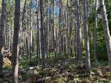 Lot 1 Kentuck Lake Rd - Photo 7