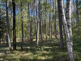 Lot 1 Kentuck Lake Rd - Photo 8