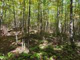 ON Moonshine Valley Rd - Photo 7