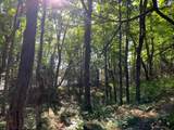 Off Of Knuth Ln - Photo 12