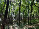 Off Of Knuth Ln - Photo 13