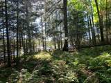 Off Of Knuth Ln - Photo 17