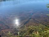 Off Of Knuth Ln - Photo 19