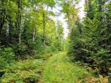 69964 Forest Rd 182 - Photo 10