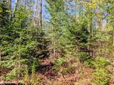 69964 Forest Rd 182 - Photo 24