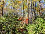 69964 Forest Rd 182 - Photo 25