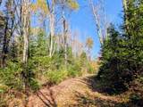 69964 Forest Rd 182 - Photo 30