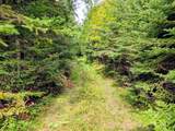 69964 Forest Rd 182 - Photo 9