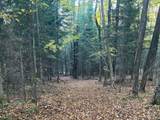 21 acres Patterson Tr - Photo 12