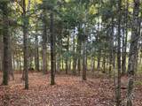 21 acres Patterson Tr - Photo 13