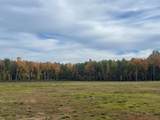 21 acres Patterson Tr - Photo 3
