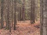 21 acres Patterson Tr - Photo 9