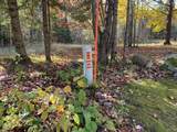 ON Golob Rd - Photo 31