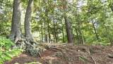 Lot 4 Bartsch Rd - Photo 14