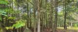 Lot 5 Bartsch Rd - Photo 13