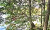 Lot 5 Bartsch Rd - Photo 20