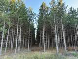 Lot 4 Plantation Rd - Photo 6