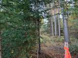 Lot 1 Plantation Rd - Photo 4