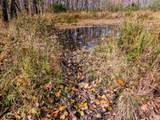 N6599 Thatcher Rd - Photo 19