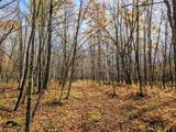 N6599 Thatcher Rd - Photo 20