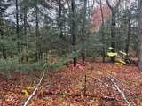 N8942 Forest Rd - Photo 6
