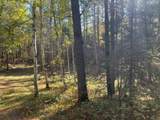 Lot 1 Wilderness Tr - Photo 4