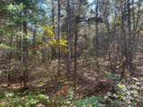 Lot 1 Wilderness Tr - Photo 5
