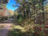 Lot 1 Wilderness Tr - Photo 6