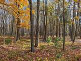 N9129 Elk River Rd - Photo 10