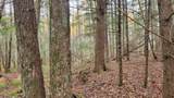 Lot #13 Sunny Side Rd - Photo 10