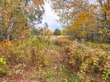 1.62A Darlaks Bay Ln - Photo 10