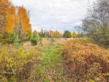 1.62A Darlaks Bay Ln - Photo 11
