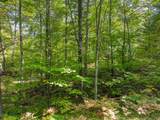 Lot 6 Lake Yawkey Dr - Photo 5