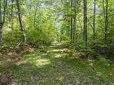 33 Acres Lake Yawkey Dr - Photo 5