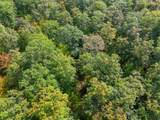 33 Acres Lake Yawkey Dr - Photo 8