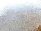 24135 Beaver Station Rd - Photo 5