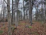 OFF Forest Road 3979 - Photo 1