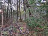 OFF Forest Road 3979 - Photo 5