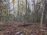OFF Forest Road 3979 - Photo 6