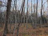 OFF Forest Road 3979 - Photo 7