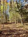 0000 Amber Lake Rd W - Photo 6